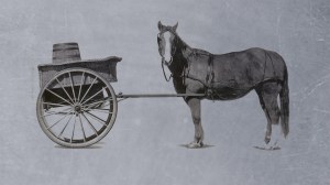 cart-horse